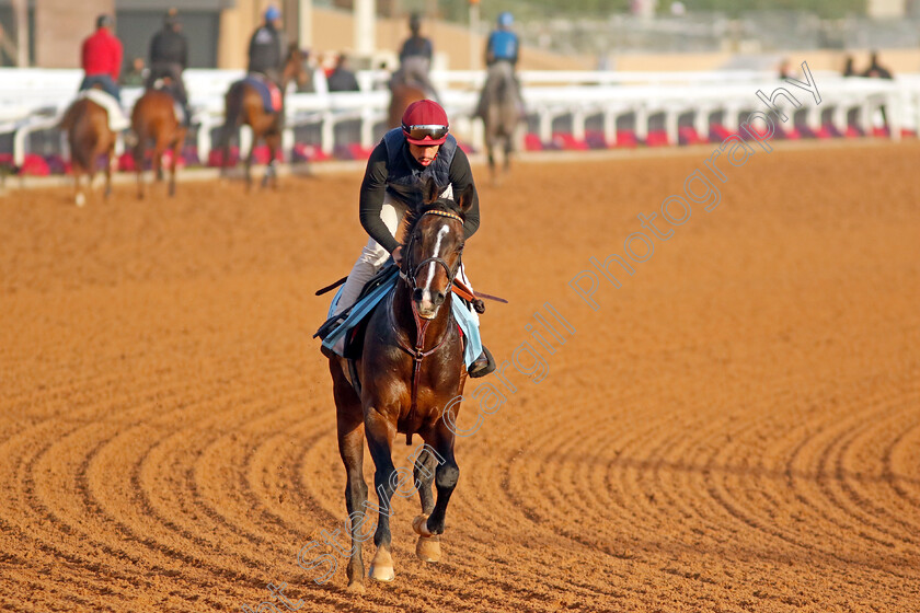 Sir-Roque-0001 
 SIR ROQUE training for The International Handicap
King Abdulaziz Racecourse, Kingdom of Saudi Arabia, 22 Feb 2023 - Pic Steven Cargill / Racingfotos.com