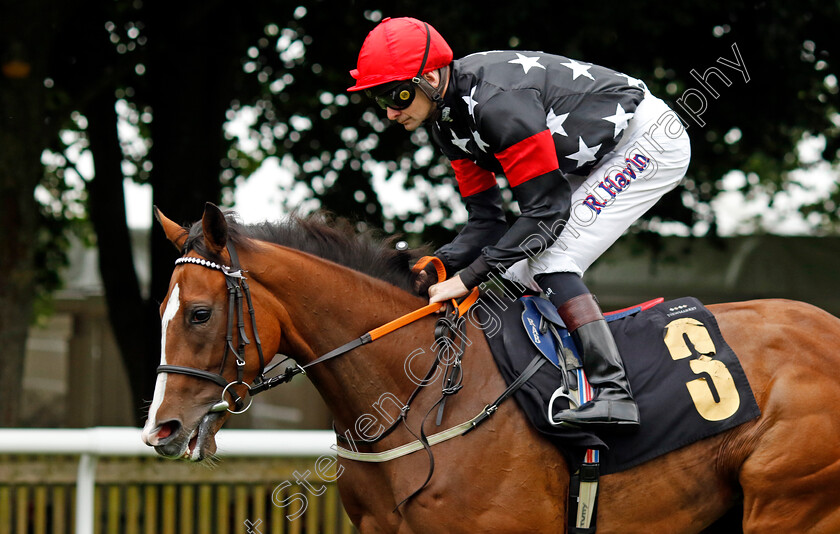 Elsie s-Ruan-0002 
 ELSIE'S RUAN (Robert Havlin)
Newmarket 10 Aug 2024 - Pic Steven Cargill / Racingfotos.com