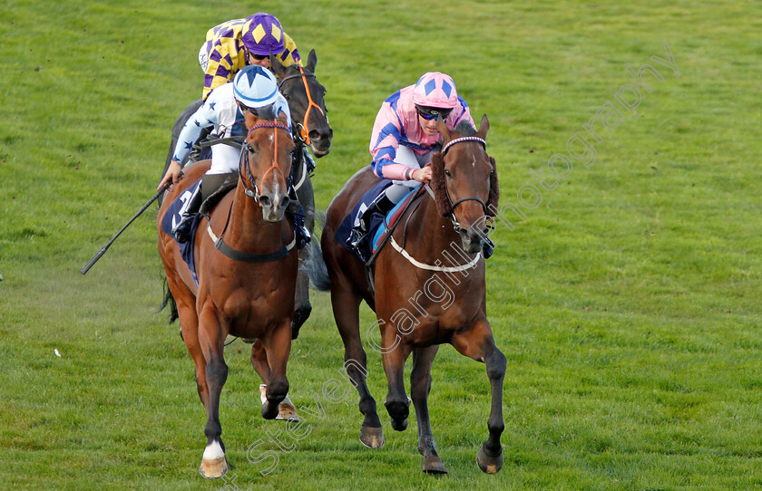 Han-Solo-Berger-0008 
 HAN SOLO BERGER (right, Tom Queally) beats EXCELLENT GEORGE (left) in The Injured Jockeys Fund Handicap
Yarmouth 17 Sep 2019 - Pic Steven Cargill / Racingfotos.com