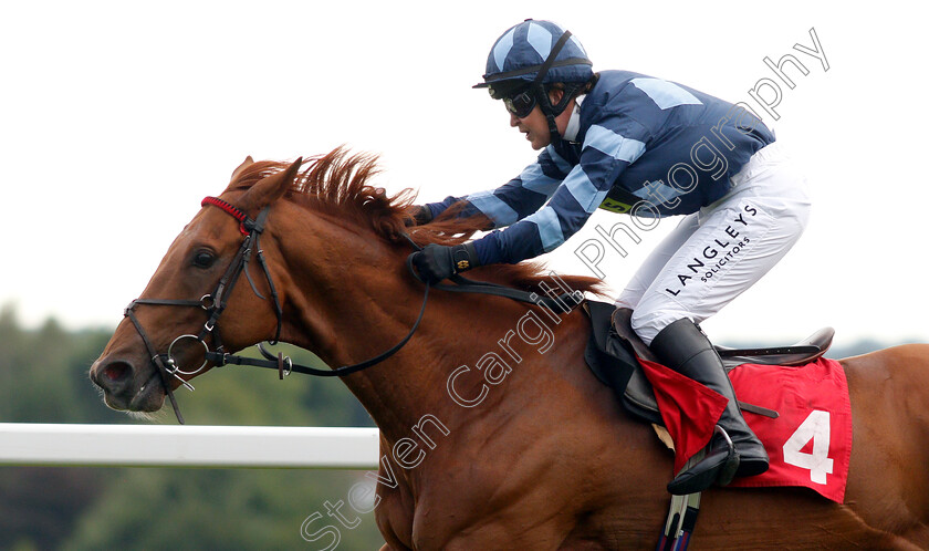 My-Boy-Sepoy-0007 
 MY BOY SEPOY (Serena Brotherton) wins The Slug And Lettuce 2-4-1 Cocktails Amateur Riders Handicap
Sandown 8 Aug 2019 - Pic Steven Cargill / Racingfotos.com