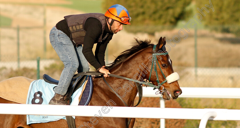 Revamp-0001 
 REVAMP training for The International Handicap
King Abdulaziz Racecourse, Kingdom Of Saudi Arabia, 23 Feb 2023 - Pic Steven Cargill / Racingfotos.com