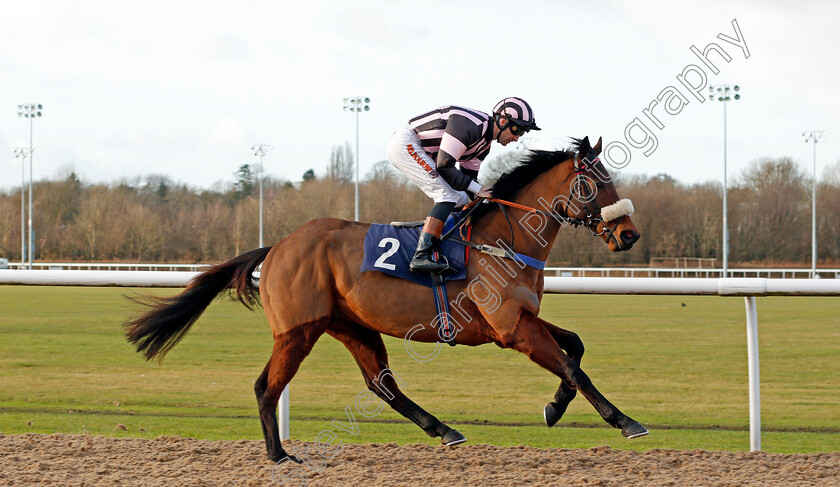 Flat-To-The-Max-0001 
 FLAT TO THE MAX (Dougie Costello)
Wolverhampton 3 Jan 2020 - Pic Steven Cargill / Racingfotos.com