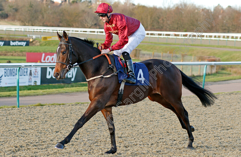 Soldier-On-Parade-0001 
 SOLDIER ON PARADE (Jack Mitchell)
Lingfield 4 Jan 2020 - Pic Steven Cargill / Racingfotos.com