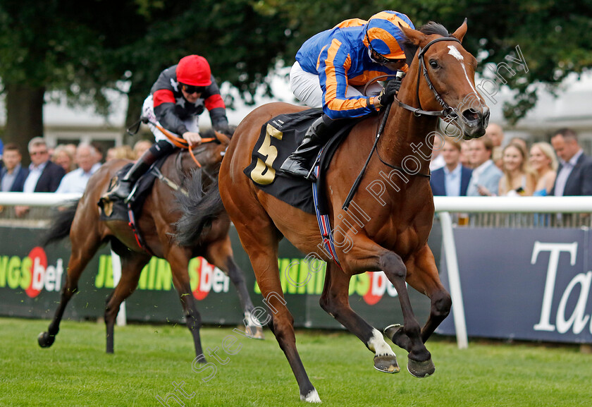 Lake-Victoria-0002 
 LAKE VICTORIA (Sean Levey) wins The Jenningsbet Sweet Solera Stakes
Newmarket 10 Aug 2024 - Pic Steven Cargill / Racingfotos.com