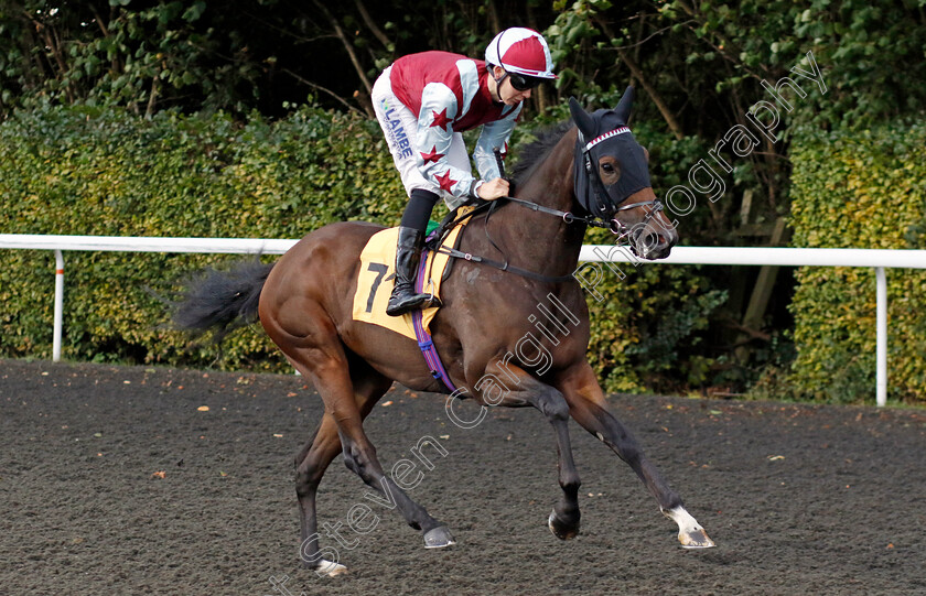 KInta-0002 
 KINTA (Billy Loughnane)
Kempton 2 Oct 2024 - pic Steven Cargill / Racingfotos.com