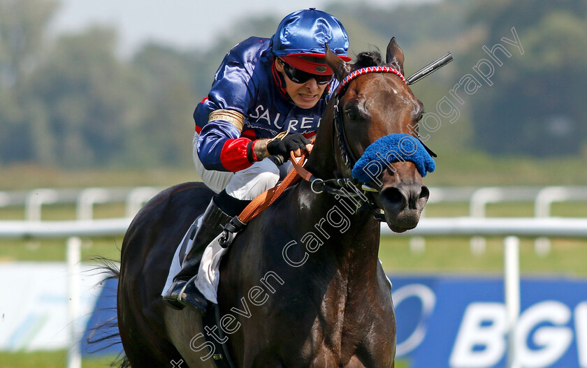 Penalty-0003 
 PENALTY (Thore Hammer-Hansen) wins The 91. Brunner-Oettingen Rennen
Baden Baden 1 Sep 2024 - Pic Steven Cargill / Racingfotos.com