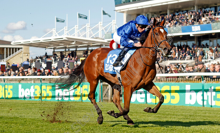 Verse-Of-Love-0003 
 VERSE OF LOVE (William Buick) wins The Godolphin Under Starters Orders Maiden Fillies Stakes
Newmarket 11 Oct 2024 - pic Steven Cargill / Racingfotos.com