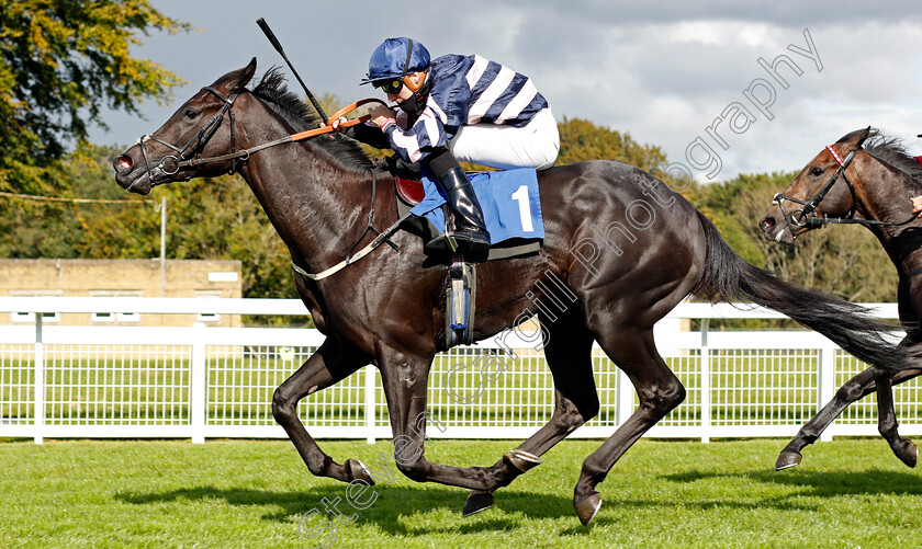 Champagne-Piaff-0005 
 CHAMPAGNE PIAFF (Hector Crouch) wins The Byerley Stud British EBF Novice Stakes Div2
Salisbury 1 Oct 2020 - Pic Steven Cargill / Racingfotos.com