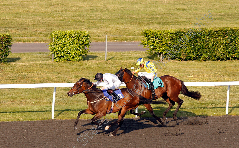 Capofaro-0004 
 CAPOFARO (Thomas Greatrex) wins The 100% Profit Boost At 32redsport Apprentice Handicap
Kempton 22 May 2019 - Pic Steven Cargill / Racingfotos.com