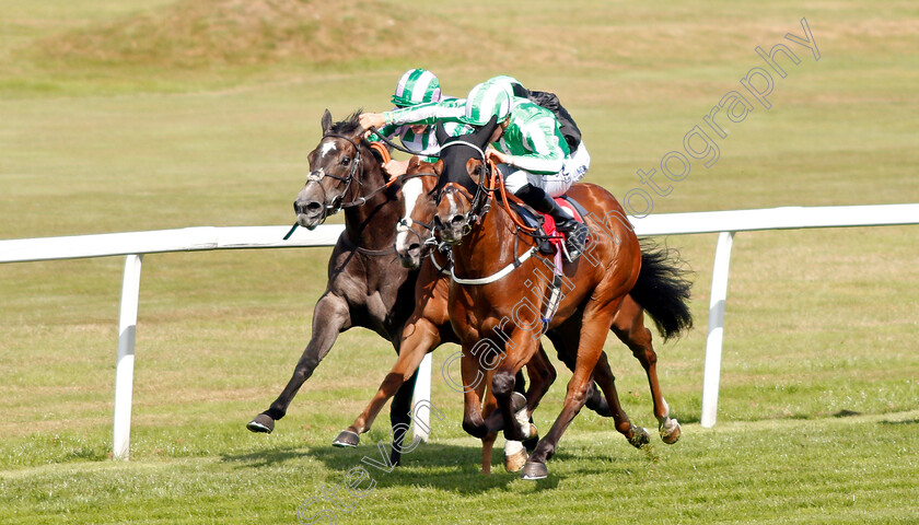 Port-Winston-0002 
 PORT WINSTON (David Probert) wins The Betway Nursery
Sandown 30 Aug 2019 - Pic Steven Cargill / Racingfotos.com