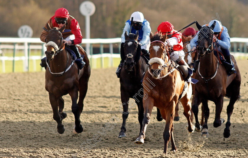 Crimewave-0004 
 CRIMEWAVE (Laura Pearson) wins The Betway Handicap
Lingfield 29 Jan 2021 - Pic Steven Cargill / Racingfotos.com