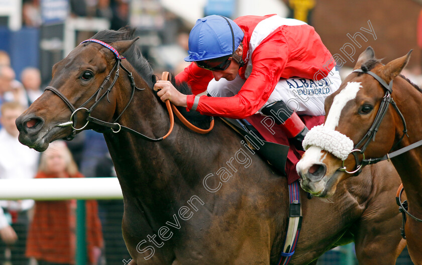 Twilight-Calls-0005 
 TWILIGHT CALLS (Adam Kirby)
Haydock 21 May 2022 - Pic Steven Cargill / Racingfotos.com