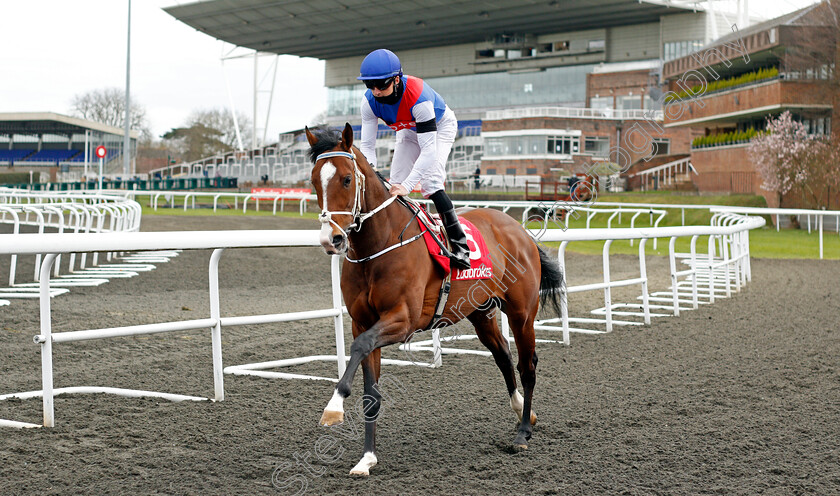 War-Leader-0001 
 WAR LEADER (Martin Harley)
Kempton 27 Mar 2021 - Pic Steven Cargill / Racingfotos.com