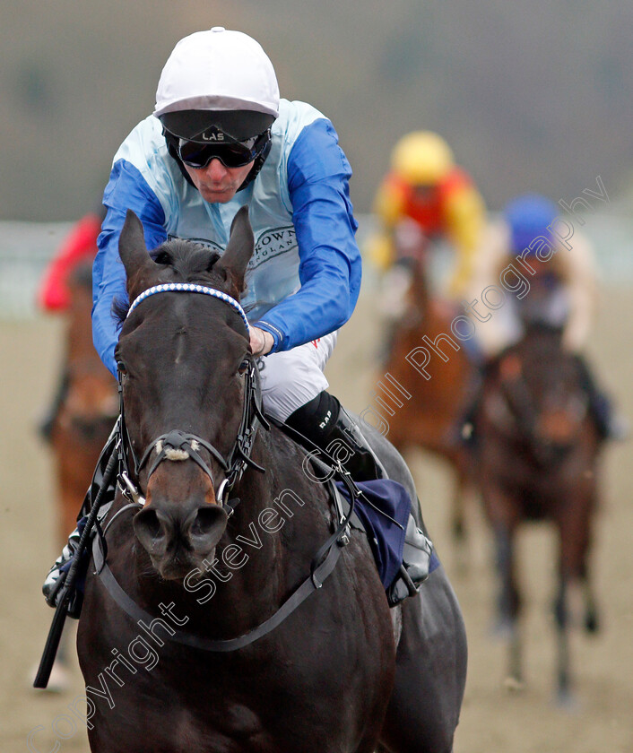 Sir-Edward-Elgar-0009 
 SIR EDWARD ELGAR (Robert Havlin) wins The Bombardier British Hopped Amber Beer Maiden Stakes
Lingfield 27 Jan 2021 - Pic Steven Cargill / Racingfotos.com