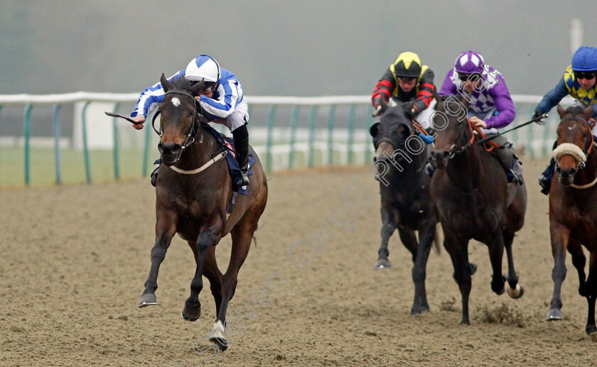 Felisa-0001 
 FELISA (John Egan) wins The 32Red.com Handicap Lingfield 12 Jan 2018 - Pic Steven Cargill / Racingfotos.com