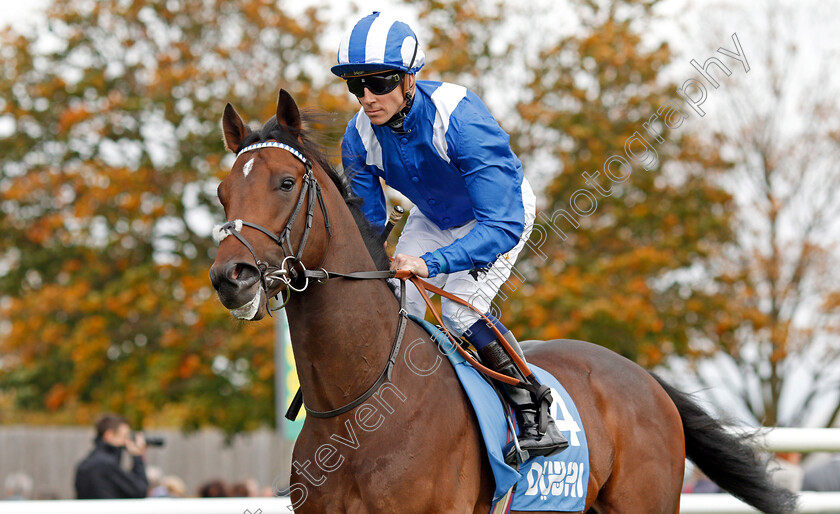 Mokaatil-0002 
 MOKAATIL (Jim Crowley) Newmarket 13 Oct 2017 - Pic Steven Cargill / Racingfotos.com