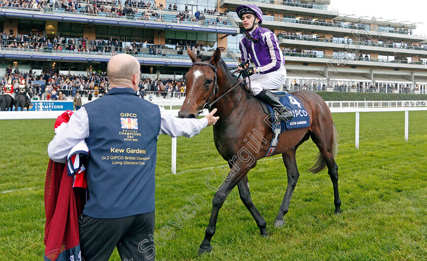 Kew-Gardens-0006 
 KEW GARDENS (Donnacha O'Brien) after The Qipco British Champions Long Distance Cup
Ascot 19 Oct 2019 - Pic Steven Cargill / Racingfotos.com