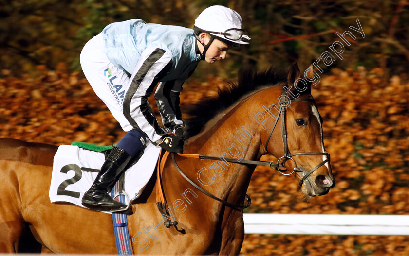 Caprelo-0001 
 CAPRELO (Billy Loughnane)
Kempton 6 Dec 2023 - Pic Steven Cargill / Racingfotos.com