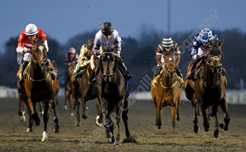 Con-Te-Partiro-0001 
 CON TE PARTIRO (centre, Hollie Doyle) beats ECCENTRIC (right) and DANEHILL STAR (left) in The Unibet Supports Safe Gambling Handicap
Kempton 14 Feb 2024 - Pic Steven Cargill / Racingfotos.com