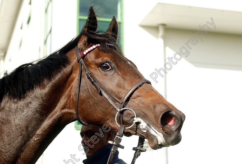 Alobayyah-0007 
 ALOBAYYAH winner of The British Stallion Studs EBF Fillies Novice Stakes
Yarmouth 22 Oct 2024 - Pic Steven Cargill / Racingfotos.com