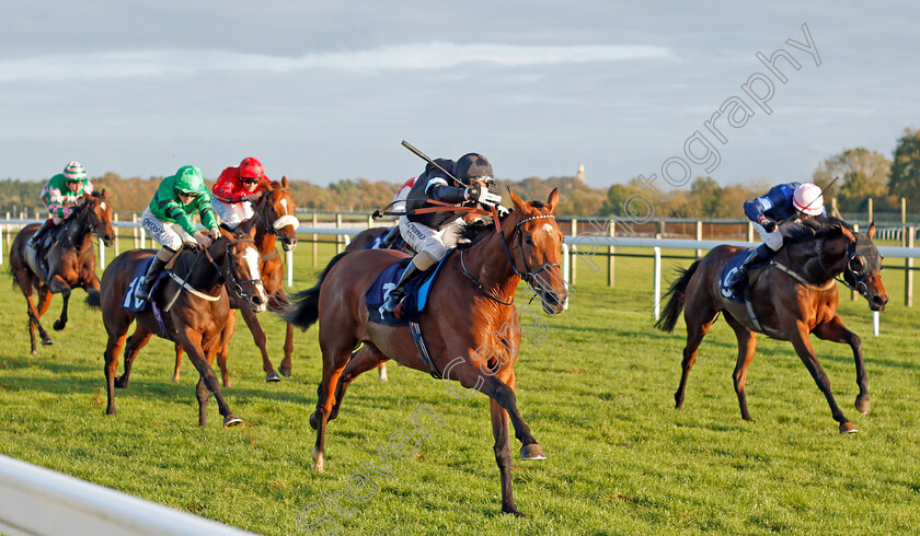 Manucci-0002 
 MANUCCI (Martin Dwyer) beats BEER WITH THE BOYS (right) in The Starsportsbet.co.uk Handicap
Bath 16 Oct 2019 - Pic Steven Cargill / Racingfotos.com