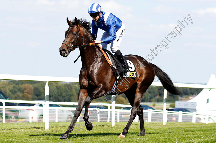 Almoreb-0001 
 ALMOREB (Jim Crowley)
Sandown 1 Sep 2018 - Pic Steven Cargill / Racingfotos.com