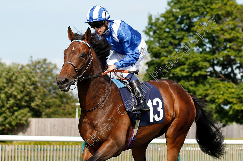 Wadilsafa-0002 
 WADILSAFA (Jim Crowley) winner of The Pegasus Profiles Flying Horse Novice Stakes
Newmarket 18 May 2018 - Pic Steven Cargill / Racingfotos.com