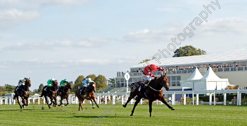 Hampden-Park-0004 
 HAMPDEN PARK (Oisin Murphy) wins The Heros Novice Stakes
Ascot 6 Oct 2023 - Pic Steven Cargill / Racingfotos.com