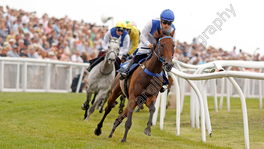 Island-Song-0001 
 Champion Jockey of the Channel Islands FREDDY TETT riding ISLAND SONG
Les Landes, Jersey 26 Aug 2019 - Pic Steven Cargill / Racingfotos.com