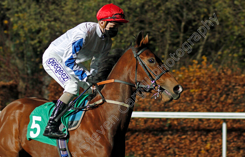 Kinderdijk-0001 
 KINDERDIJK (David Probert)
Kempton 2 Dec 2020 - Pic Steven Cargill / Racingfotos.com