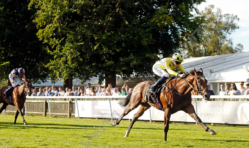 Asuka-0002 
 ASUKA (Billy Loughnane) wins The Maritime Cargo Services On Time Maiden Stakes
Newmarket 9 Aug 2024 - Pic Steven Cargill / Racingfotos.com