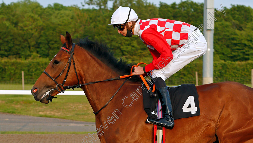 Donya-0001 
 DONYA (Louis Steward)
Chelmsford 3 Jun 2021 - Pic Steven Cargill / Racingfotos.com