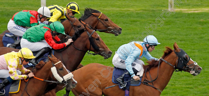 How-Impressive-0002 
 HOW IMPRESSIVE (Richard Kingscote) wins The Sea Deer Handicap
Yarmouth 20 Sep 2023 - Pic Steven Cargill / Racingfotos.com