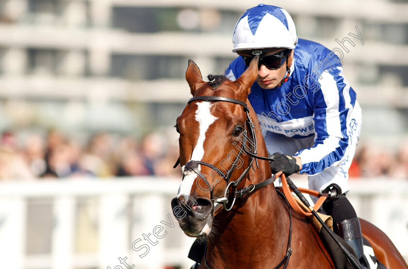 Fox-Chairman-0008 
 FOX CHAIRMAN (Silvestre De Sousa) wins The Dubai Duty Free Tennis Championships Maiden Stakes Div1
Newbury 13 Apr 2019 - Pic Steven Cargill / Racingfotos.com