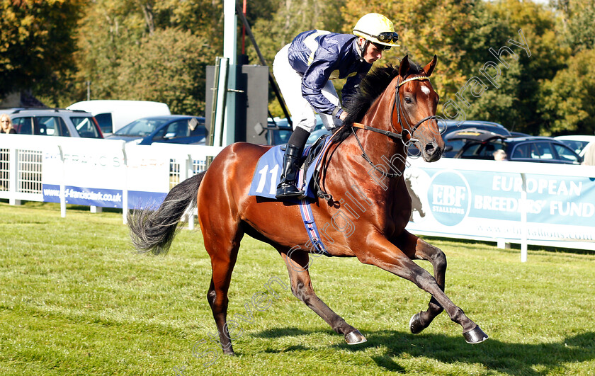 Ned-Mackay-0001 
 NED MACKAY (Kieran Shoemark)
Salisbury 3 Oct 2018 - Pic Steven Cargill / Racingfotos.com