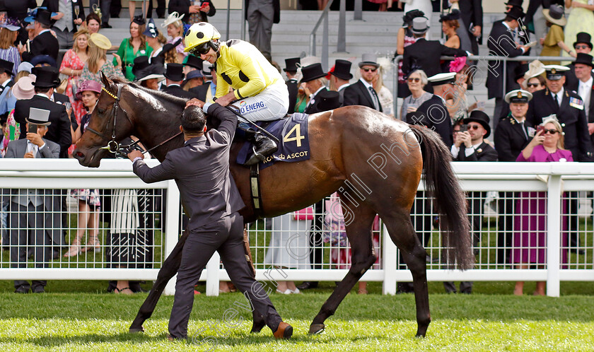 Inisherin-0008 
 INISHERIN (Tom Eaves) winner of The Commonwealth Cup
Royal Ascot 21 Jun 2024 - Pic Steven Cargill / Racingfotos.com