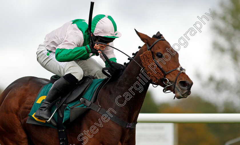 Carys -Commodity-0006 
 CARYS' COMMODITY (Jonjo O'Neill Jr) wins The Champions Day Form Study On attheraces.com/ascot Handicap Hurdle
Fakenham 16 Oct 2020 - Pic Steven Cargill / Racingfotos.com