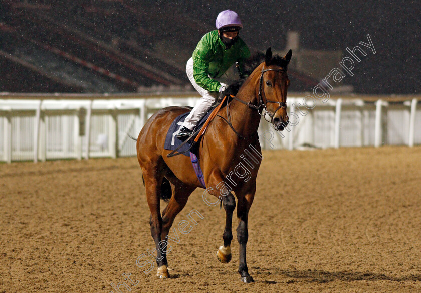 Queen-Of-Thorns-0001 
 QUEEN OF THORNS (Edward Greatrex)
Wolverhampton 4 Jan 2021 - Pic Steven Cargill / Racingfotos.com