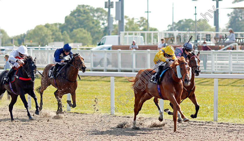 Gypsy-Lady-0001 
 GYPSY LADY (Luke Morris) wins The tote Placepot First Bet Of The Day Restricted Maiden Stakes
Chelmsford 3 Jun 2021 - Pic Steven Cargill / Racingfotos.com