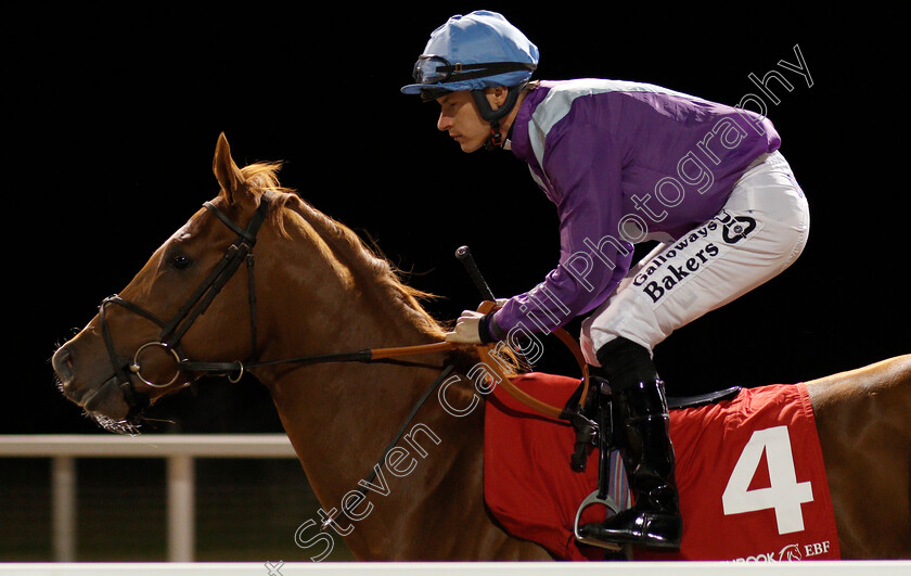 Great-Ambassador-0002 
 GREAT AMBASSADOR (Richard Kingscote) before The Matchbook EBF Future Stayers Novice Stakes
Chelmsford 28 Nov 2019 - Pic Steven Cargill / Racingfotos.com