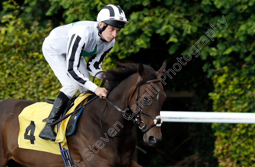 Dinky-Diva-0001 
 DINKY DIVA (Luke Morris)
Kempton 16 Jul 2024 - Pic Steven Cargill / Racingfotos.com