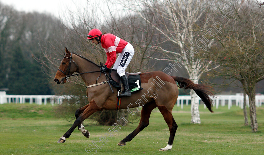 Laurina-0002 
 LAURINA (Ruby Walsh) winner of The Unibet Mares Hurdle
Sandown 5 Jan 2019 - Pic Steven Cargill / Racingfotos.com