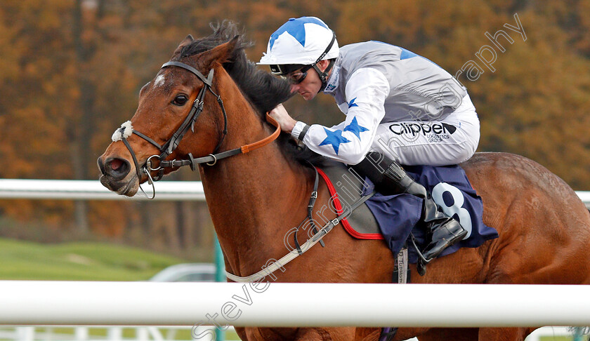 Fayez-0005 
 FAYEZ (Daniel Tudhope) wins The Betway Handicap Lingfield 21 Nov 2017 - Pic Steven Cargill / Racingfotos.com