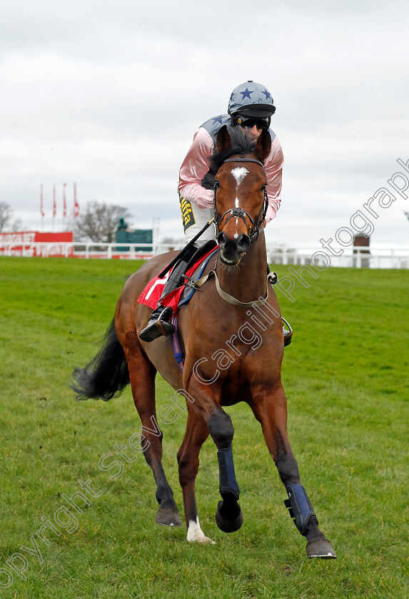 Blue-Universe-0001 
 BLUE UNIVERSE (Marc Goldstein)
Sandown 3 Feb 2024 - Pic Steven Cargill / Racingfotos.com