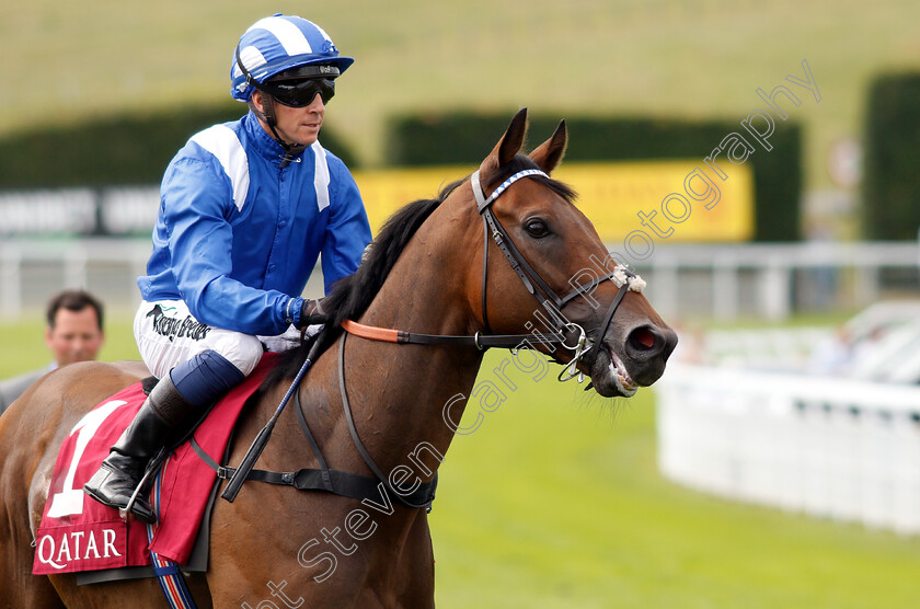 Battaash-0001 
 BATTAASH (Jim Crowley) before The King George Qatar Stakes
Goodwood 2 Aug 2019 - Pic Steven Cargill / Racingfotos.com