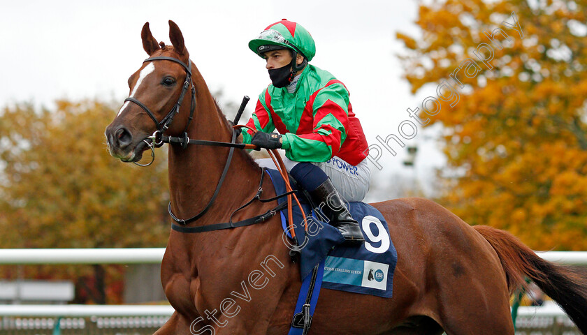 Rewired-0002 
 REWIRED (Silvestre De Sousa)
Newmarket 21 Oct 2020 - Pic Steven Cargill / Racingfotos.com