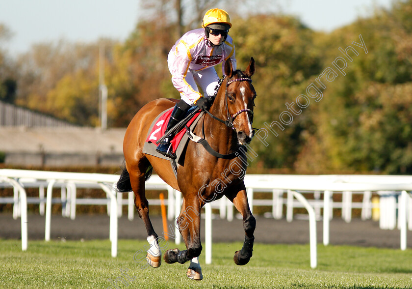 Higgs-0001 
 HIGGS (David Bass)
Kempton 21 Oct 2018 - Pic Steven Cargill / Racingfotos.com