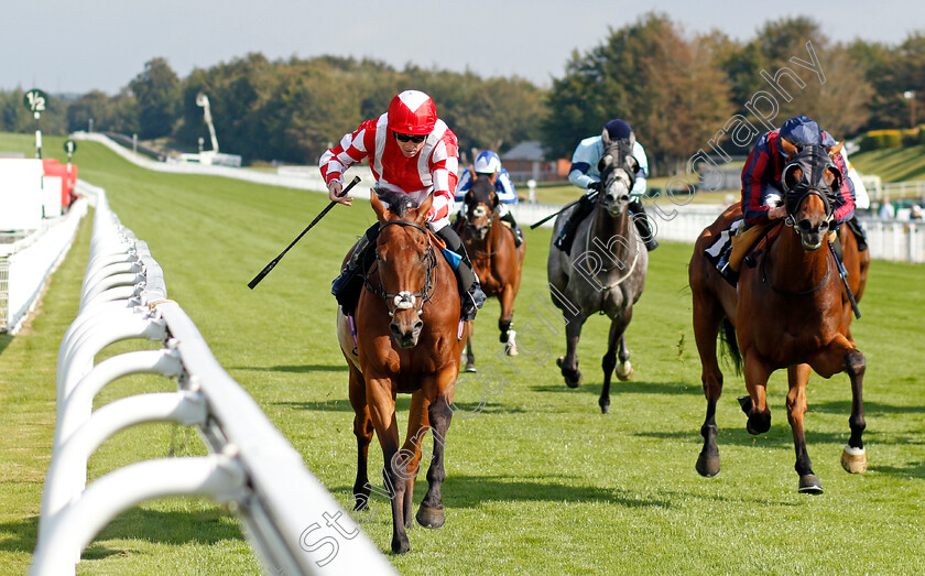 Via-Serendipity-0002 
 VIA SERENDIPITY (left, Stevie Donohoe) beats TURN ON THE CHARM (right) in The White Beech Farm Optional Claiming Handicap
Goodwood 22 Sep 2021 - Pic Steven Cargill / Racingfotos.com