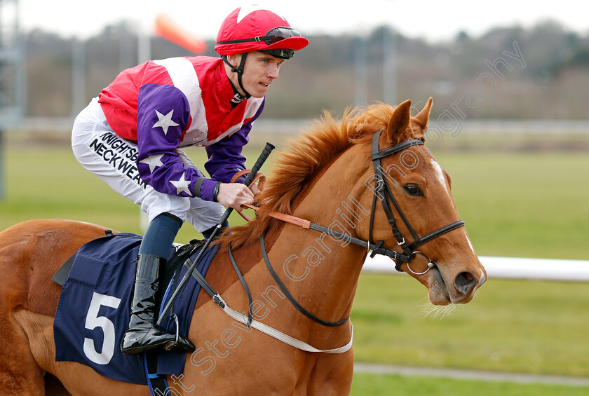 Havana-Vision-0002 
 HAVANA VISION (Phil Dennis)
Wolverhampton 12 Mar 2022 - Pic Steven Cargill / Racingfotos.com