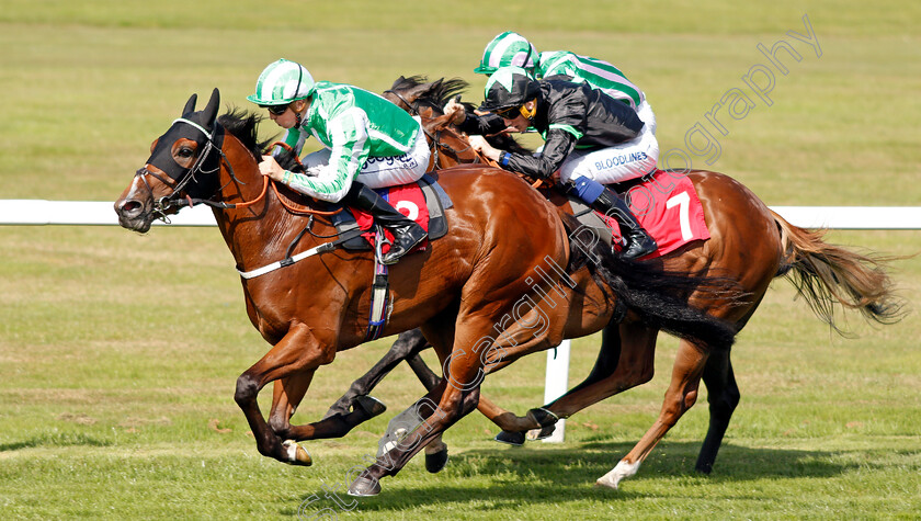 Port-Winston-0007 
 PORT WINSTON (David Probert) wins The Betway Nursery
Sandown 30 Aug 2019 - Pic Steven Cargill / Racingfotos.com